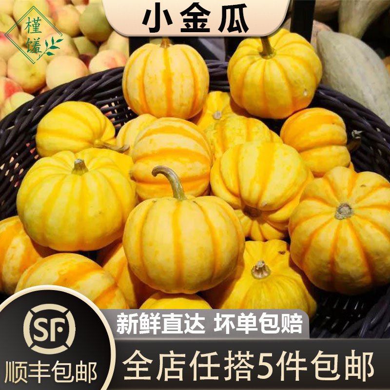 小金瓜1颗 迷你桔瓜酒店黄金贝贝南瓜盅万圣节太阳果