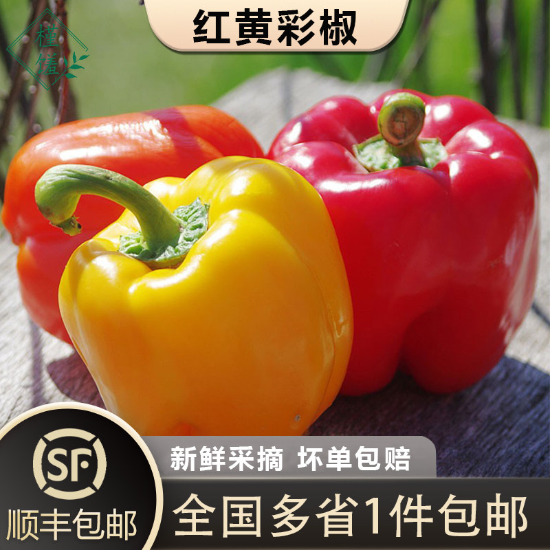 【槿馐】红黄彩椒1-5斤 灯笼椒甜辣椒生吃 新鲜圆椒 沙拉蔬菜食材
