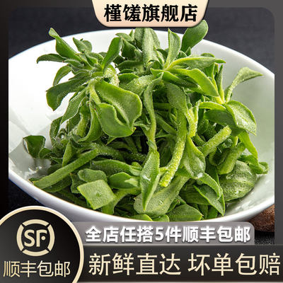 【槿馐】新鲜冰草300g 冰菜非洲冰叶野菜沙拉蔬菜 凉拌冰草