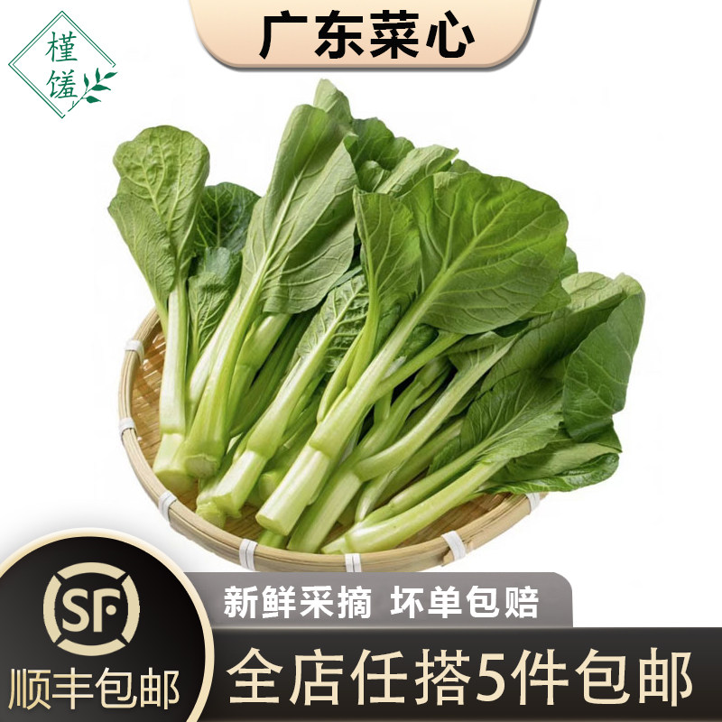 【槿馐】广东菜心500g 农家自种甜菜心菜薹广东菜心当季蔬菜