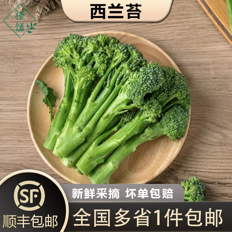槿馐西兰苔兰花台顺丰包邮