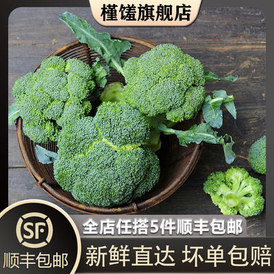 【槿馐】西兰花500g 新鲜脆嫩青花菜绿花菜西蓝花椰菜 农家菜