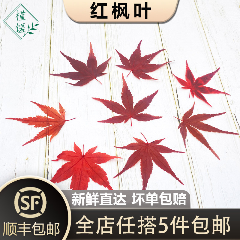 【槿馐】新鲜红枫叶30片/盒 枫树叶子 西餐日料冷菜摆盘点缀装饰 - 实物图