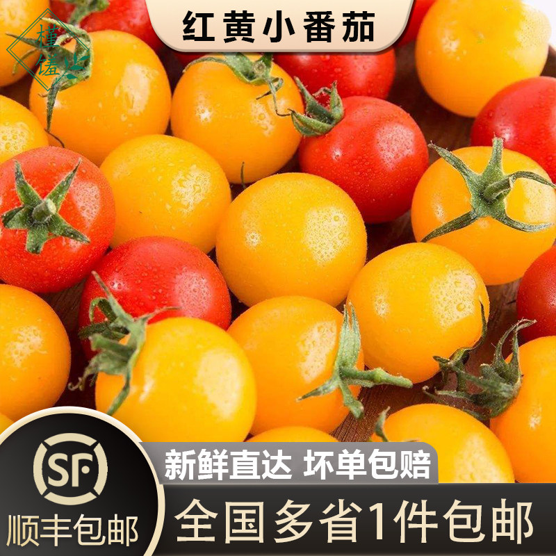 【槿馐】 樱桃小番茄400g-2000g红黄圣女果新鲜蔬菜水果西红柿