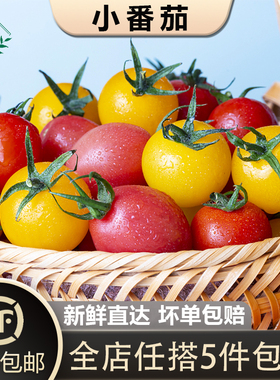【槿馐】樱桃小番茄400g 红黄圣女果新鲜蔬菜水果西红柿 5件包邮