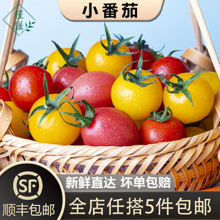 5件 红黄圣女果新鲜蔬菜水果西红柿 樱桃小番茄400g 包邮 槿馐
