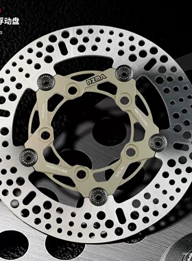 瑞祖玛GB03浮动盘220 245mm适用九号MZ M395C E80C 极核小牛改装