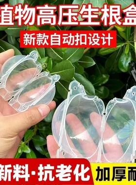 高空嫁接盒嫁接高压包高压球繁殖球植物生根器果树专用套袋子神器