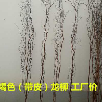 龙柳 龙柳干枝假树枝褐色棕色带皮龙柳装饰隔断橱窗装饰天然树枝