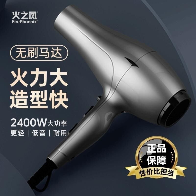 火之凤吹风机6600H发廊专用理发筒店大功率超静音吹干造型两用风