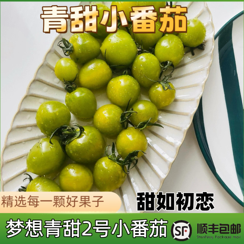 正宗清甜2号小番茄绿圣女果脆甜多汁新鲜青霞小番茄非青口蜜水果