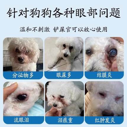 正牌比熊泪痕去除液宠物狗狗泪痕眼药水眼屎多去泪痕神器维生素滴
