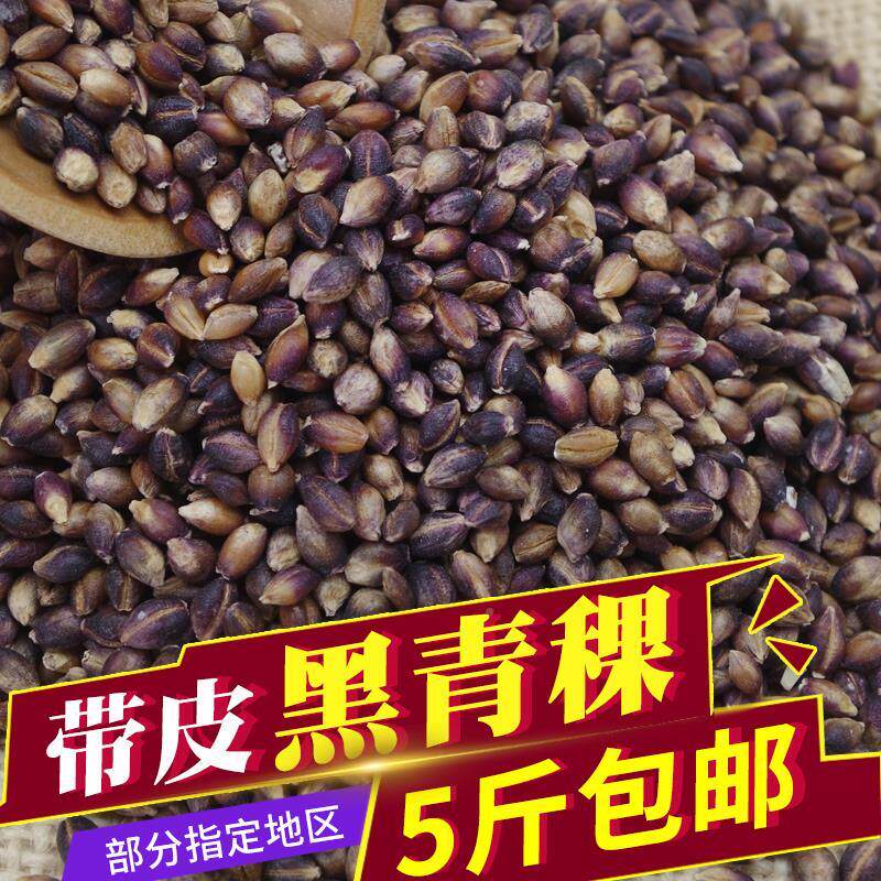 热销。。优质黑青稞带皮黑青稞青藏高原特产500g 养生好美食农家