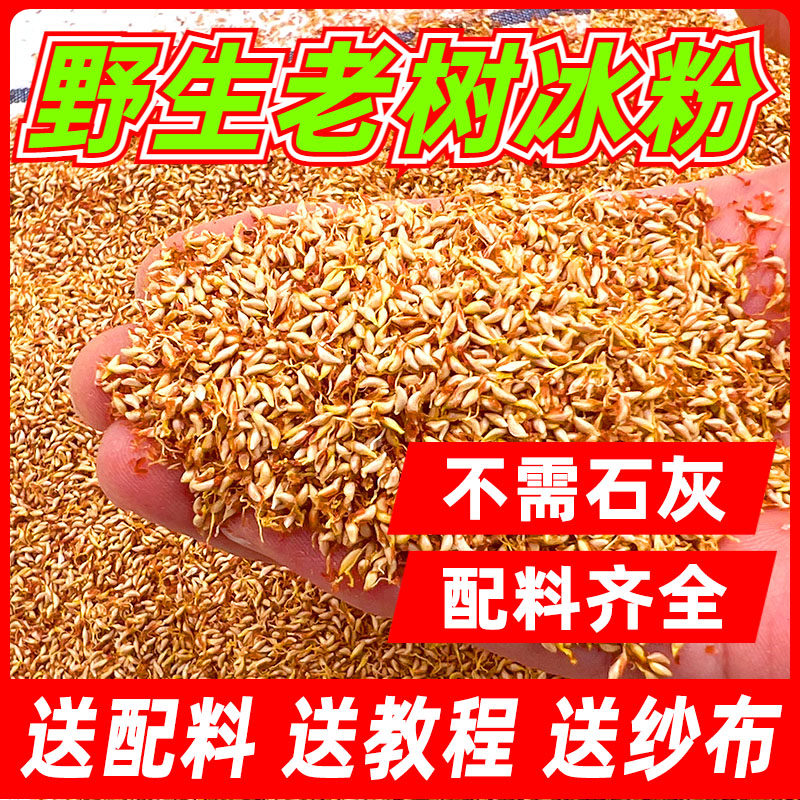 冰粉籽手搓免石灰天然野生冰粉籽薜荔籽木瓜籽爱玉籽老树凉粉籽果