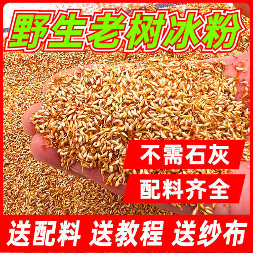 冰粉籽手搓免石灰天然野生冰粉籽薜荔籽木瓜籽爱玉籽老树凉粉籽果
