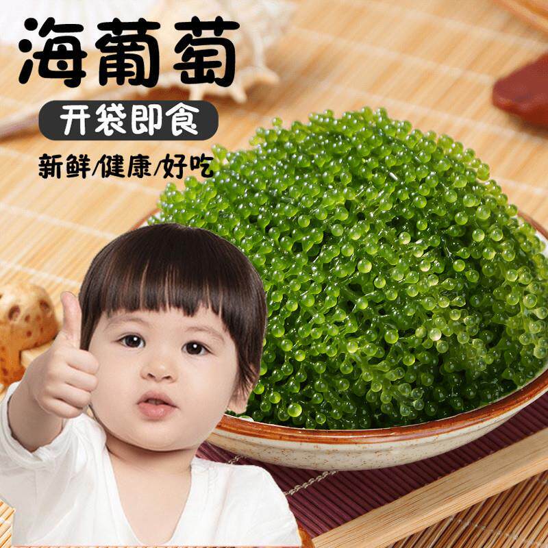 热销网红海葡萄100g新鲜即食盐渍海带海洋蔬菜绿色鱼子酱海藻菜送