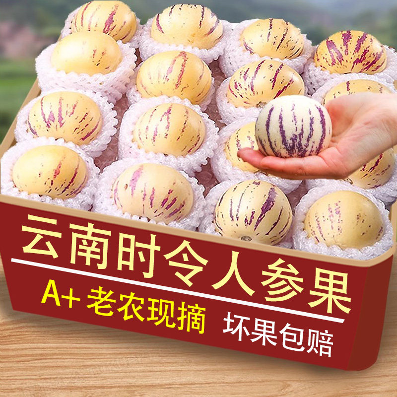 云南石林人参果新鲜水果树上熟现摘当季黄皮人生果黄肉大圆果整箱