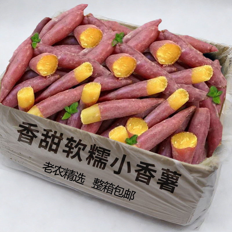 正宗手指小香薯5斤包邮