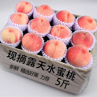 新鲜水蜜桃5斤桃子水果应当季现摘整箱包邮软时令油脆甜桃毛密桃