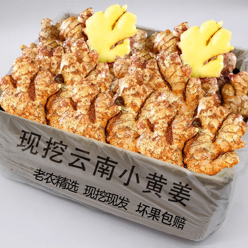 正宗云南小黄姜新鲜生姜老姜