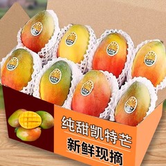 四川攀枝花凯特芒果9斤新鲜应季水果芒果整箱包邮特大青忙果当季
