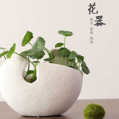 铜钱草水培花盆陶瓷特价清仓白色无孔创意简约大植物器皿绿萝容器