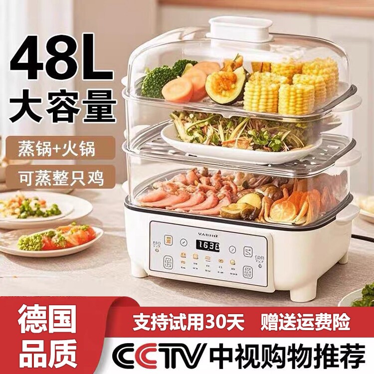 德国出口电蒸锅多功能家用蒸煮炖
