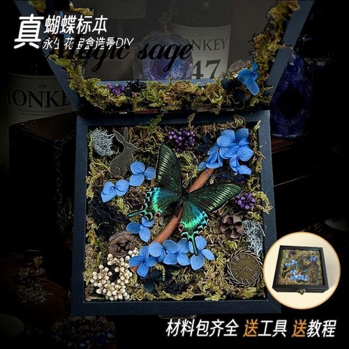 真蝴蝶标本永生花造景立体相框