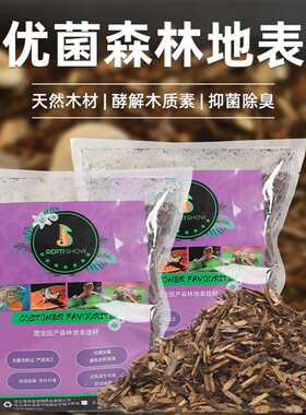 乌龟森林地表爬宠垫料守宫蜥蜴蛇角蛙陆龟垫材除臭保湿雨林造景