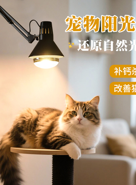 宠物小太阳加热灯uvb全光谱灯保温灯暖灯宠物控温室内模拟阳光猫