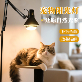 宠物小太阳加热灯uvb全光谱灯保温灯暖灯宠物控温室内模拟阳光猫