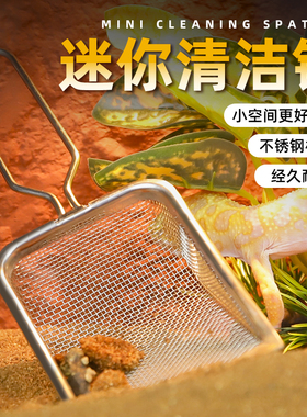 爬宠饲养箱清洁铲爬虫专用不锈钢漏沙铲爬虫钙沙蜥蜴守宫粪便清理