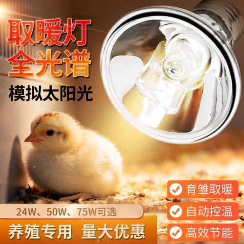 保温灯养殖场专用加热保暖灯泡