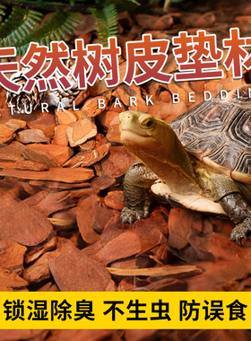 爬宠垫材森林地表爬虫松树皮黄缘蜥蜴蛇睫角守宫松木保湿除臭造景