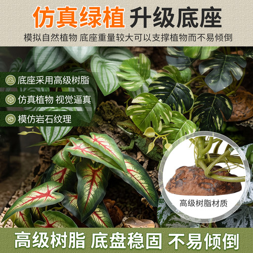 爬宠造景植物守宫爬摆件睫角爬缸爬宠缸饲养箱雨林缸造景仿真植物