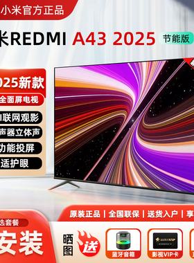 小米电视RA43英寸 金属全面屏4K高清网络WIFI家用液晶平板55/50寸