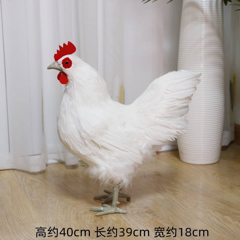 仿真大母鸡模型鸡摆件摄影道具真羽毛工艺品造景假鸡家居招财摆件