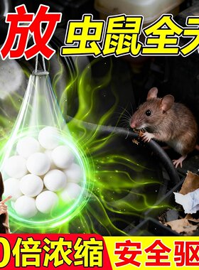 汽车驱鼠发动机舱专用驱鼠丸薄荷油特效强力樟脑车内防老鼠神器药