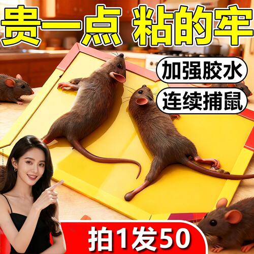 大号粘鼠板老鼠黏强力粘大小老鼠胶家用粘鼠神器2026新款抓老鼠贴