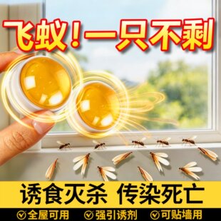飞蚂蚁药家用全窝端家用飞蚁防治专用杀虫剂灭大水蚁涨水蛾白蚁灯