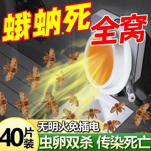 蛾蚋除虫剂卫生间厕所飞蛾陷阱诱捕药克星室内去除小飞虫灭杀神器