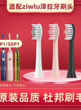 适配日本ziwlu泽拉电动牙刷刷头P1/X9SDlSP1/FSP2/ZLP1/A156/H2YA