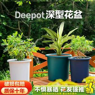 爱丽思大号深型Deepot花盆爱丽丝特大号口径圆形家用塑料盆景