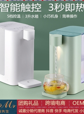 即热饮水机家用智能加热饮水机烧饮水机台湾水壶冲奶泡茶速热迷你