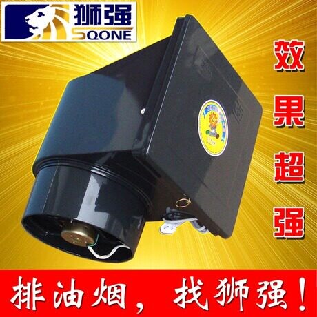 狮强厨房油烟排气扇家用强力换气