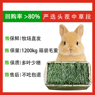 生境尾迹丨25年新提摩西草烘干兔兔主粮食干草兔子草幼兔头茬牧草