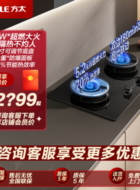 【空气舱新品】方太02-TE21双灶定时燃气灶煤气灶家用官方正品