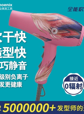 火之凤吹风机8960理发店发廊专用