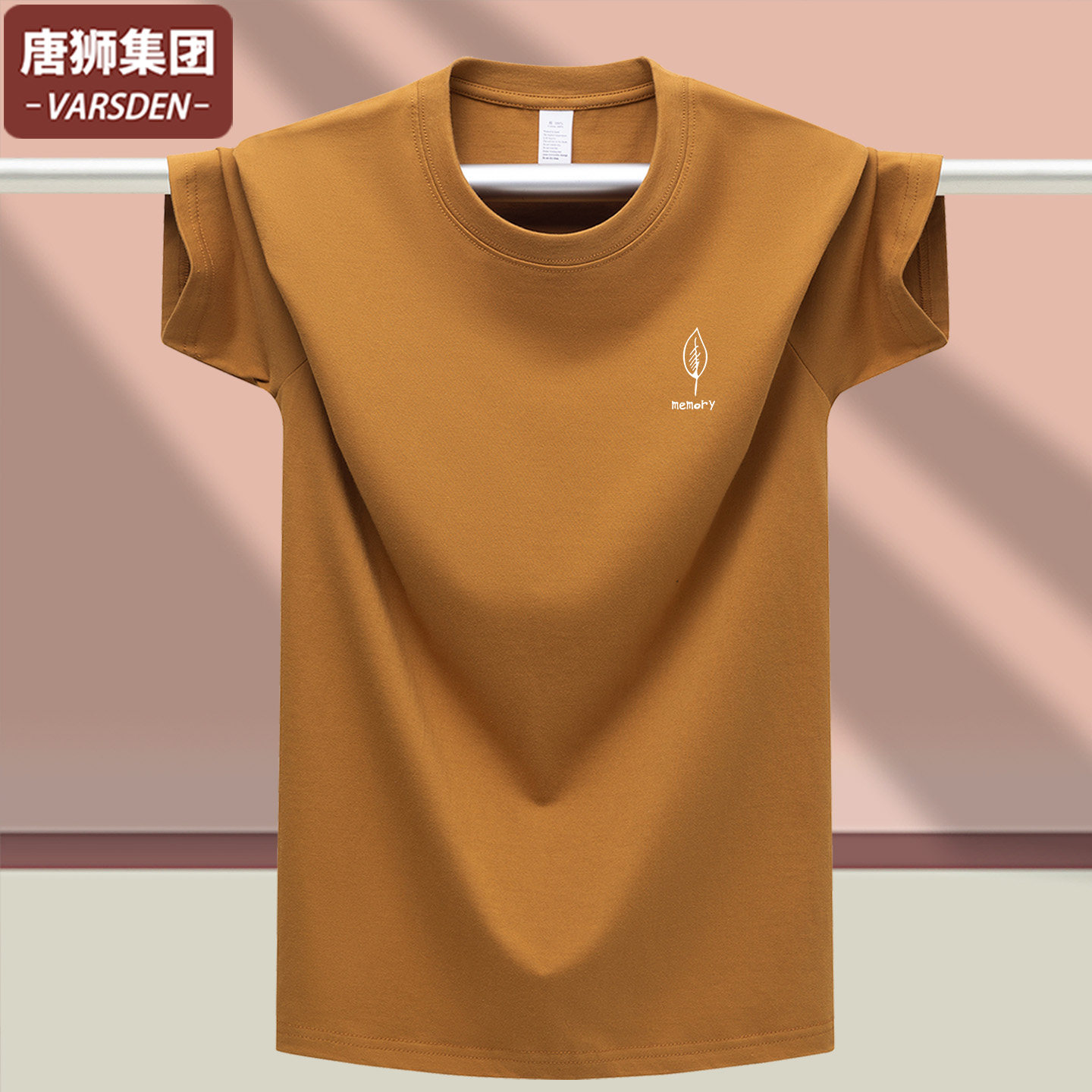 唐狮VARSDEN重磅纯棉短袖T恤男