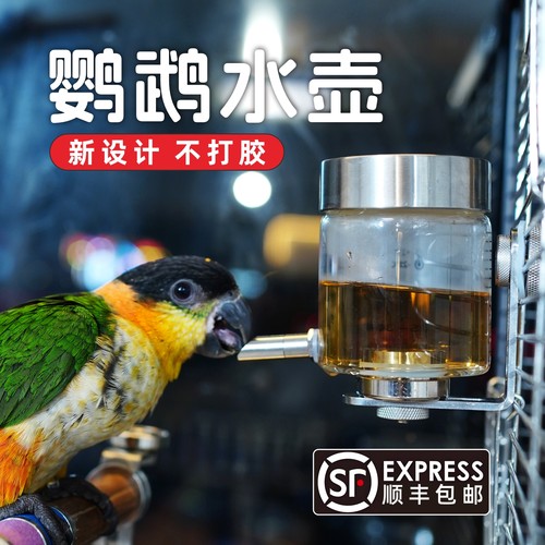 鹦鹉撞针饮水器磁吸玻璃鸟用自动喂水器八哥龙猫水壶新款鸟笼配件